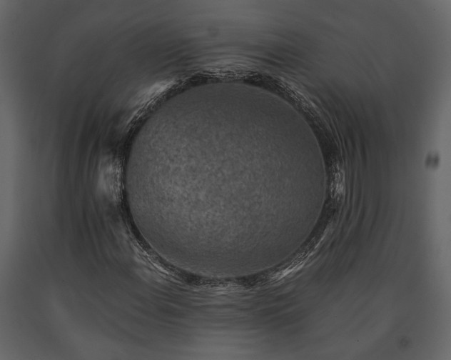 X0000091521108200708241644