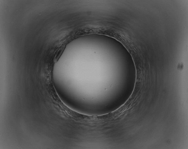 X0000091521109200708241644