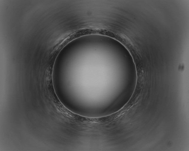 X0000091521110200708241644