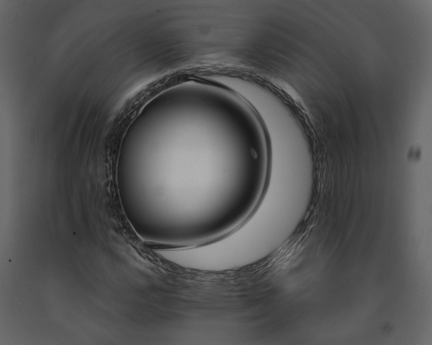 X0000091521112200708241644