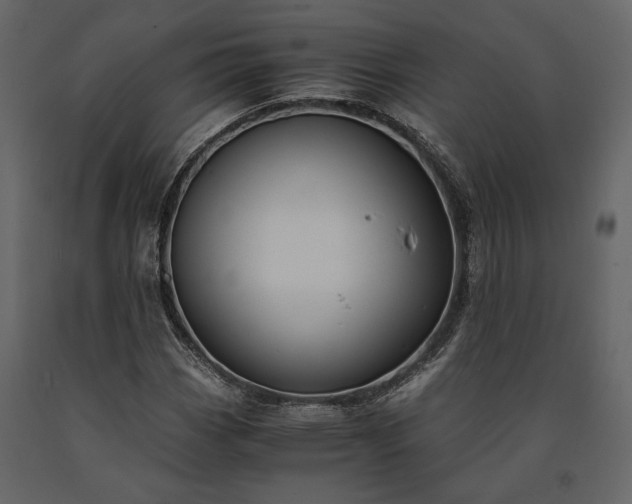 X0000091521113200708241644