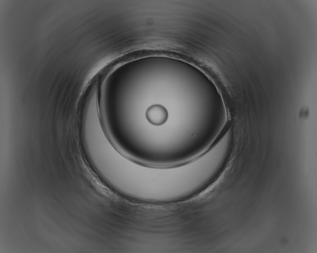 X0000091521114200708241644