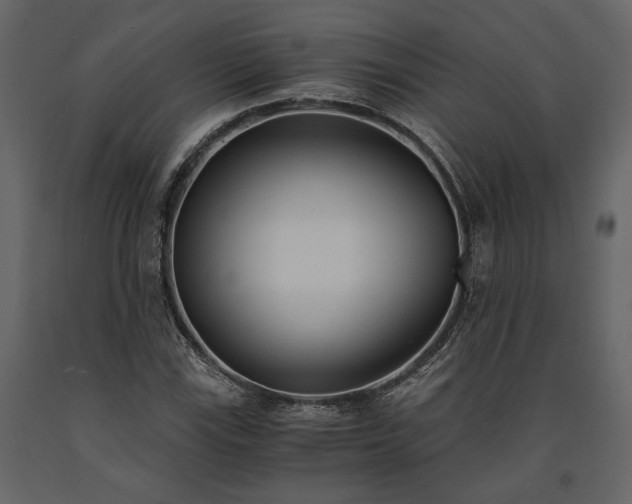 X0000091521115200708241644
