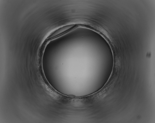 X0000091521116200708241644