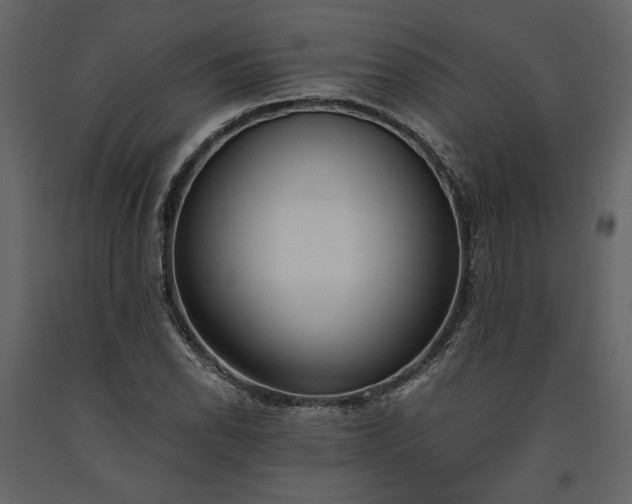 X0000091521118200708241644