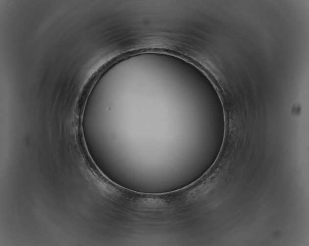 X0000091521119200708241644