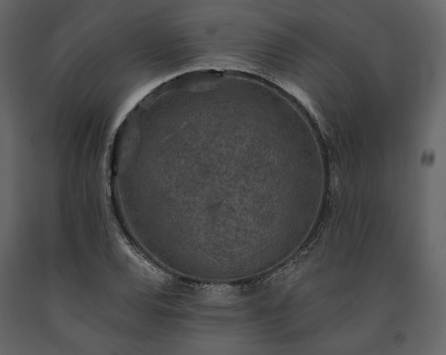 X0000091521120200708241644
