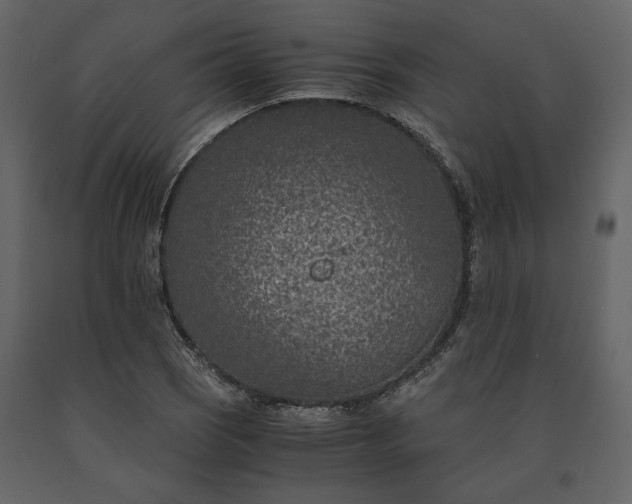 X0000091521121200708241644