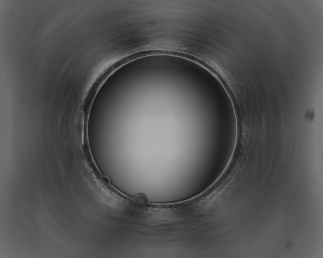X0000091521123200708241644