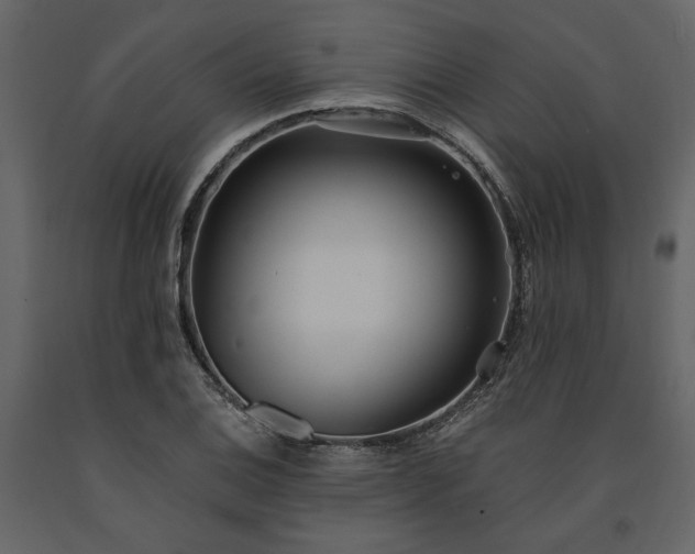 X0000091521124200708241644