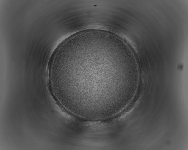 X0000091521125200708241644