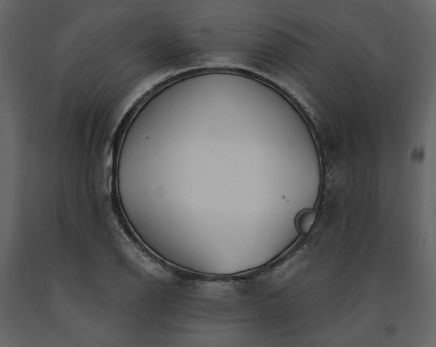 X0000091521126200708241644