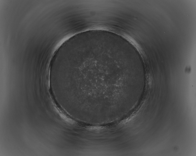 X0000091521127200708241644