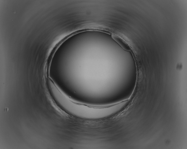 X0000091521128200708241644