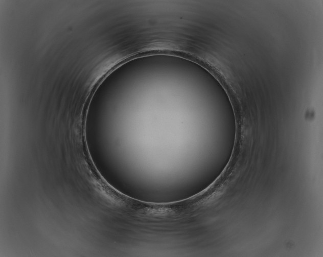 X0000091521129200708241644