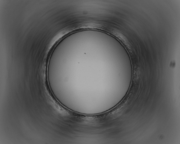 X0000091521130200708241644