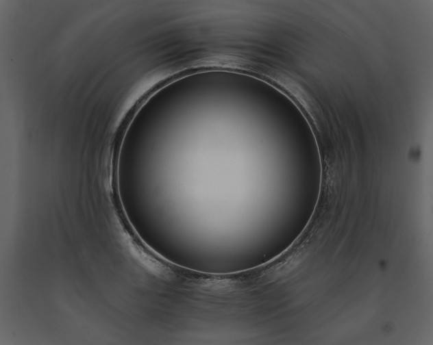 X0000091521131200708241644