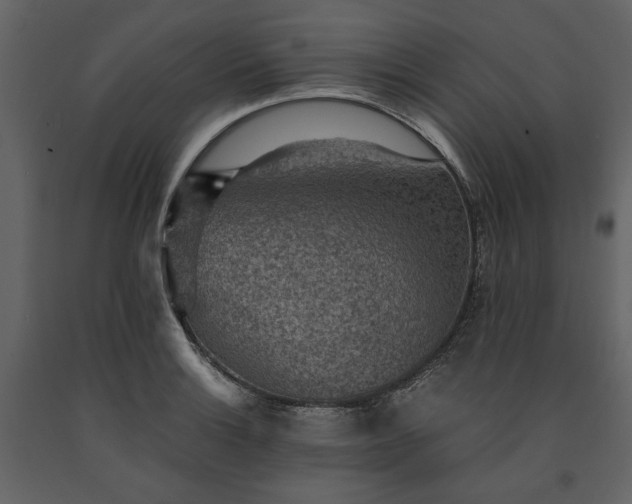 X0000091521132200708241644