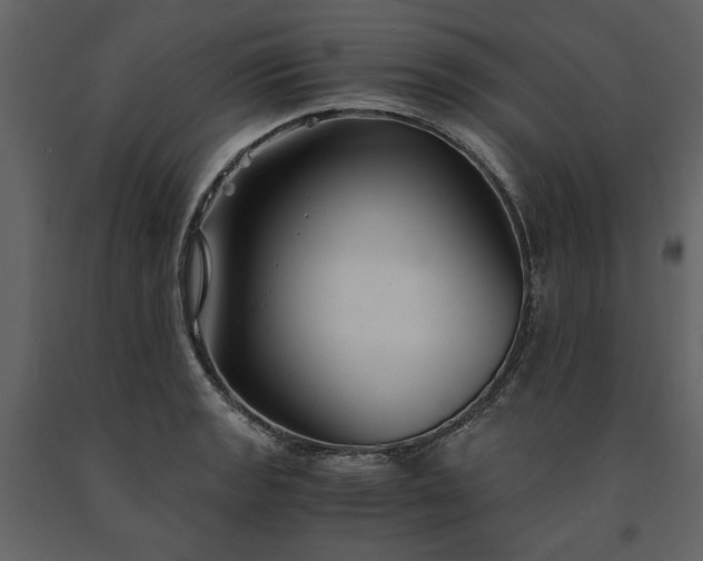 X0000091521133200708241644