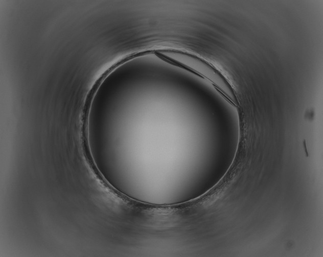 X0000091521134200708241644