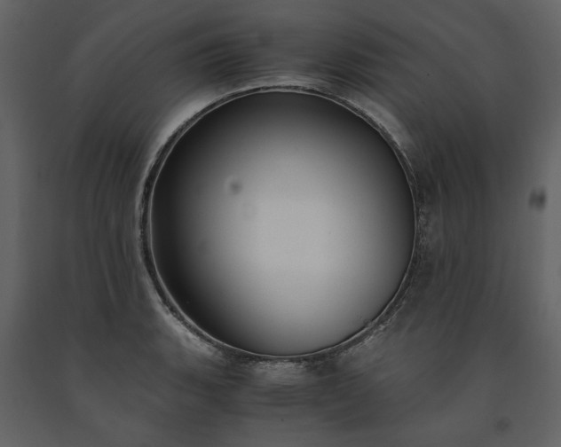X0000091521135200708241644