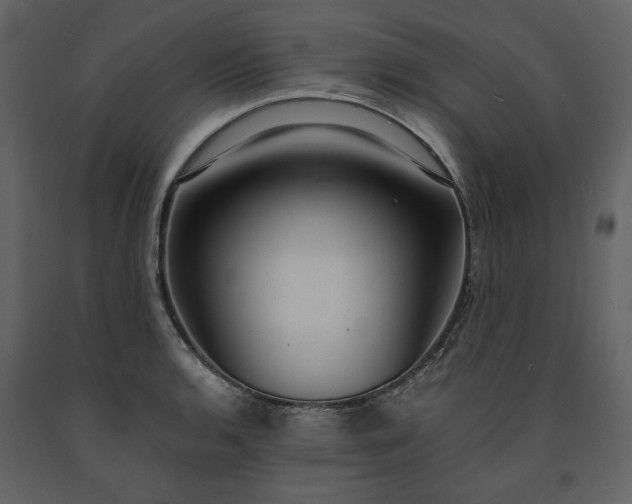 X0000091521136200708241644