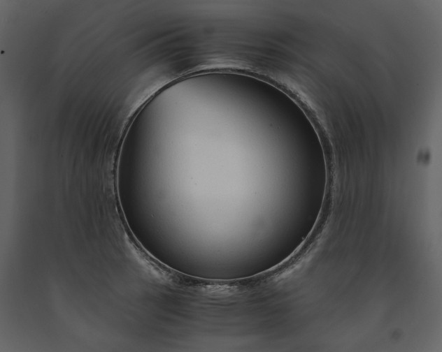 X0000091521137200708241644