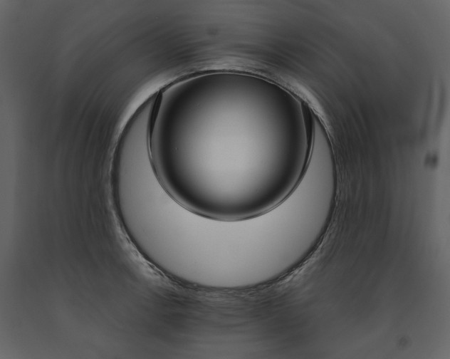 X0000091521138200708241644