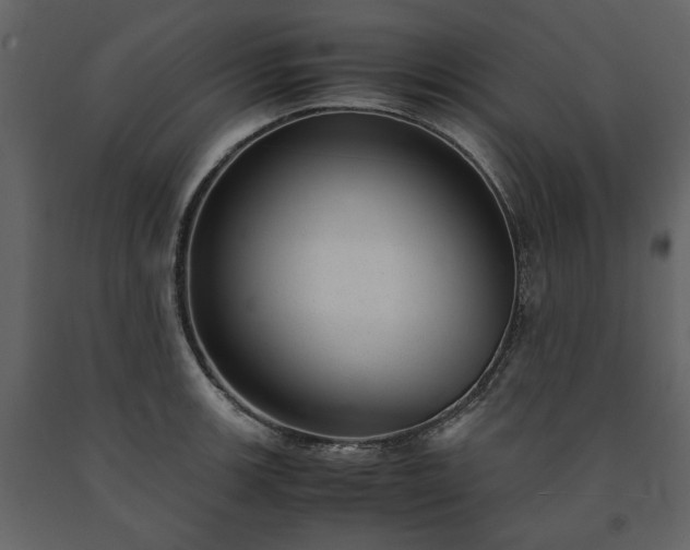 X0000091521139200708241644