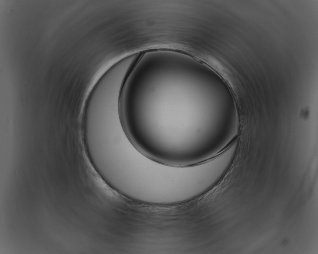 X0000091521140200708241644