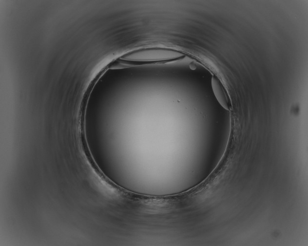 X0000091521141200708241644