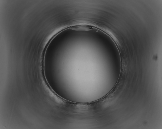 X0000091521142200708241644