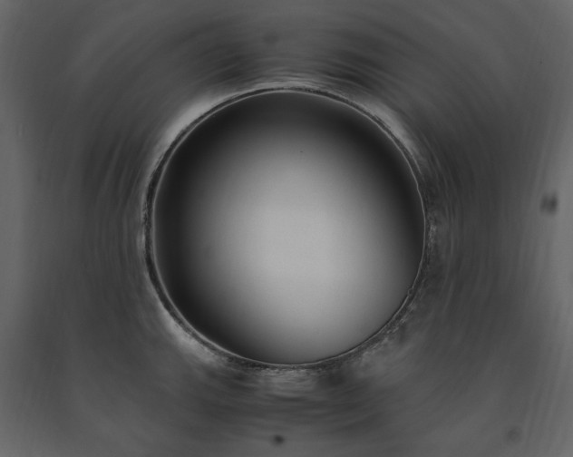 X0000091521143200708241644