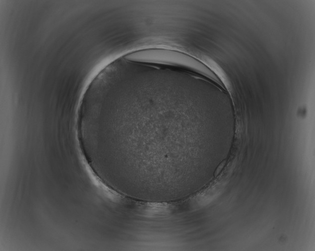 X0000091521144200708241644