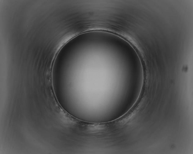 X0000091521145200708241644
