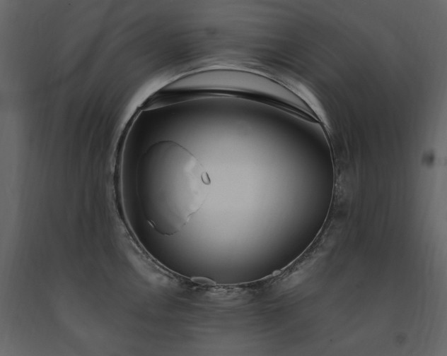 X0000091521146200708241644