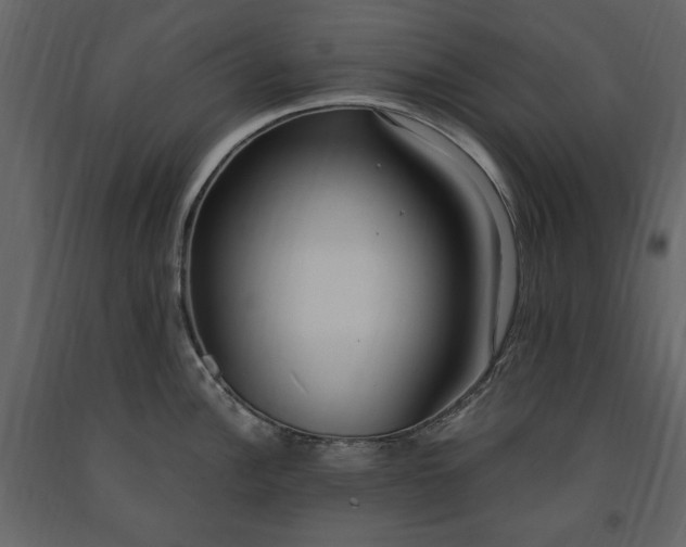 X0000091521148200708241644