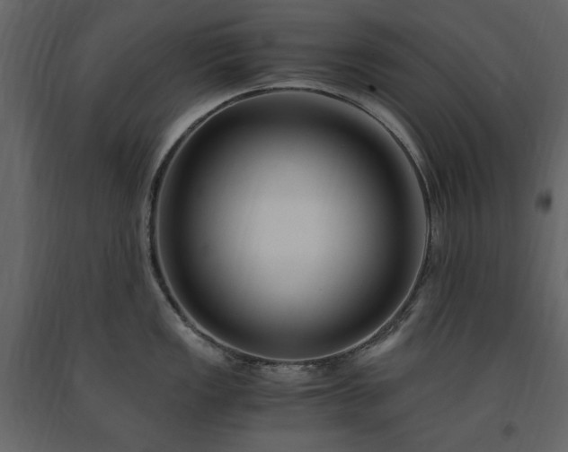 X0000091521149200708241644