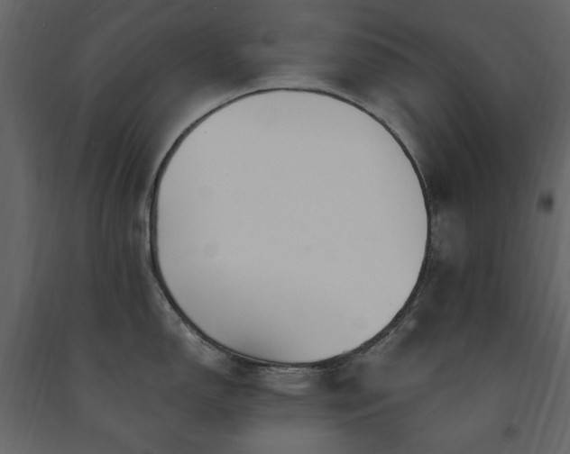 X0000091521150200708241644