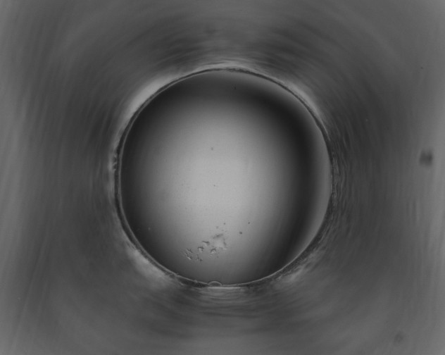 X0000091521151200708241644