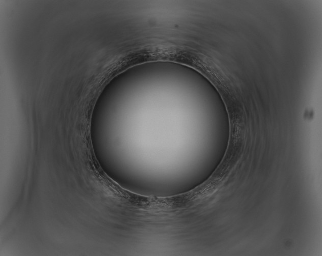 X0000091521153200708241644