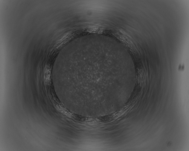 X0000091521154200708241644