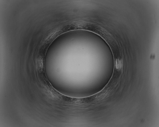 X0000091521155200708241644