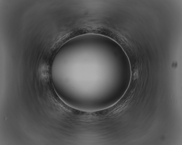 X0000091521156200708241644