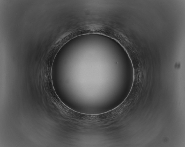 X0000091521158200708241644