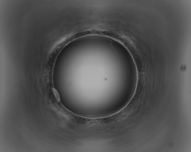 X0000091521159200708241644