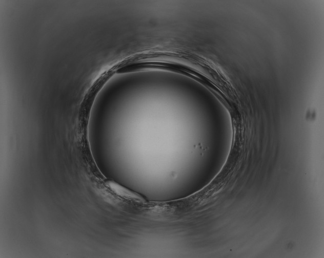 X0000091521160200708241644
