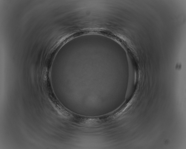 X0000091521161200708241644