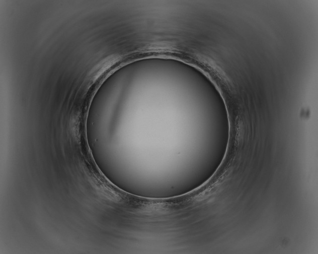 X0000091521162200708241644