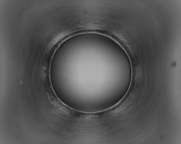 X0000091521163200708241644